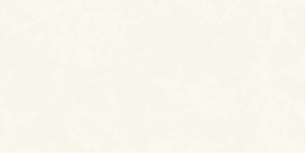 Elite White porcelain tile brings modern looking every corner of your house